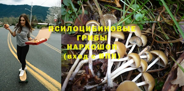 шишки Липки