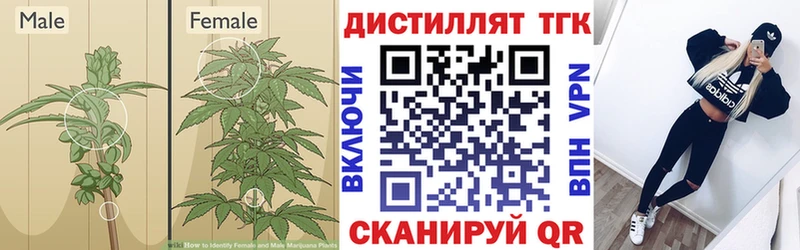 цены наркотик  Удачный  ТГК гашишное масло 